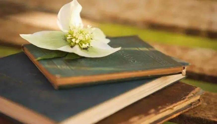 1633913138156207.jpg 讀書4.webp.jpg